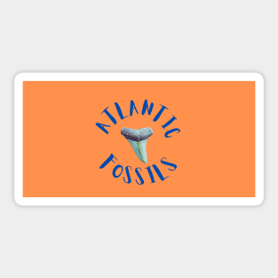 Orange and Royal Blue Nautical Light Blue Atlantic Fossils Shark Tooth Print Sticker